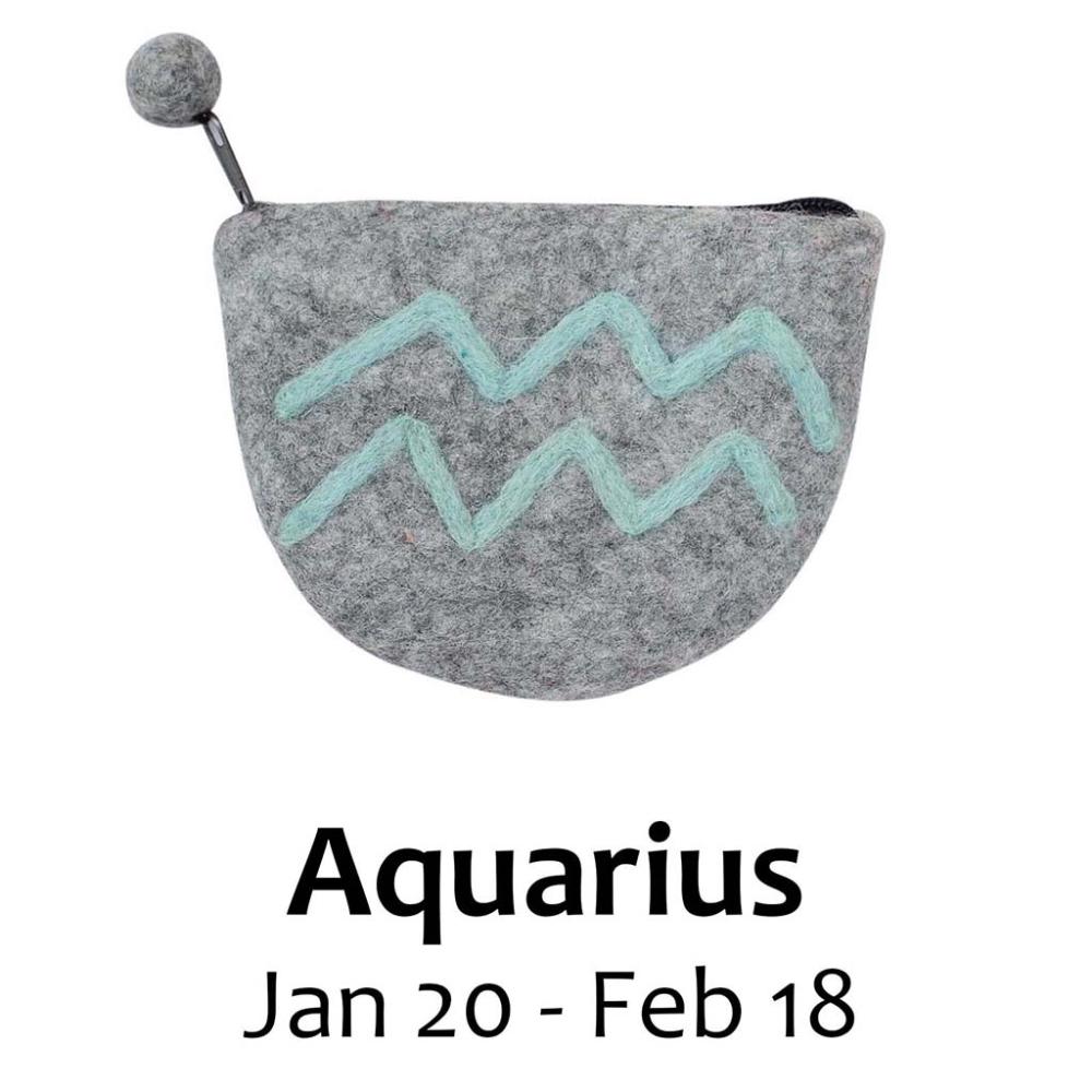 Felt Aquarius Zodiac Coin Purse - Global Groove - TheHomeToGo