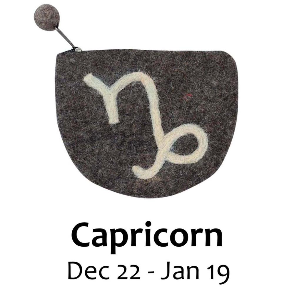 Felt Capricorn Zodiac Coin Purse - Global Groove - TheHomeToGo